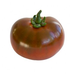 tomate noir de crimée