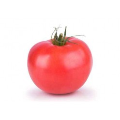 Tomate ronde