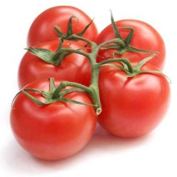 Tomate grappe