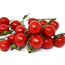 Tomate cerise grappe