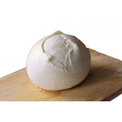 Burrata