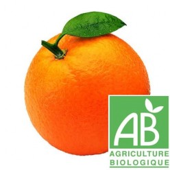 Orange (Bio)