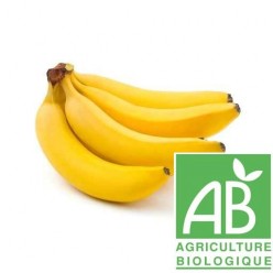 Banane (Bio)