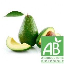 Avocat (Bio)