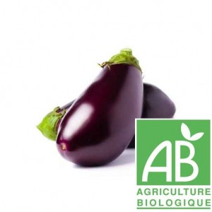 Aubergine ( bio )