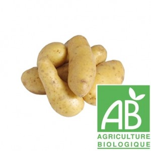 Pomme de terre : B F 15 (Bio)